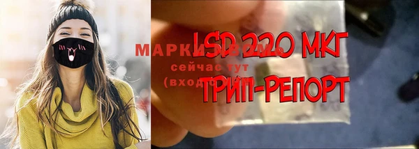 молекула духа Вязьма
