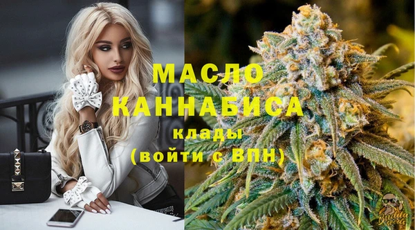 молекула духа Вязьма