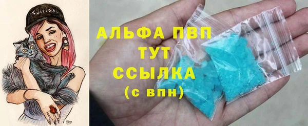 молекула духа Вязьма