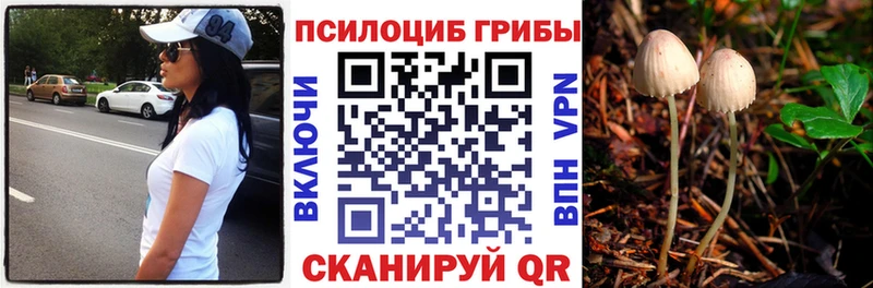 Псилоцибиновые грибы ЛСД Купить где Кумертау